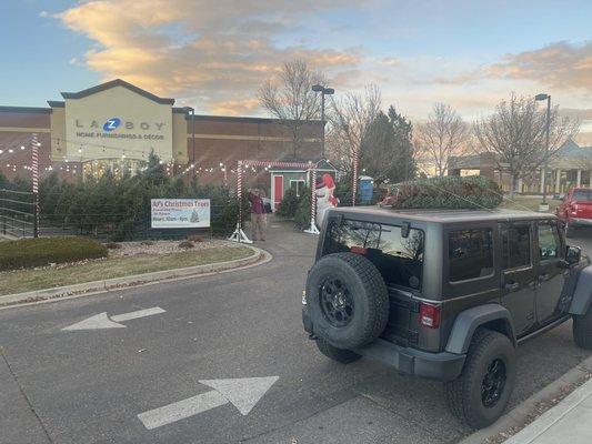 AJ's Christmas Trees