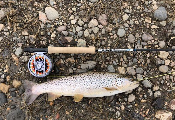 Hallam Cottingham on the Yampa River with Helios 3