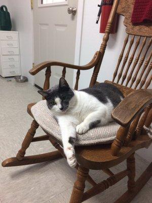 Wild River Pet Sitting