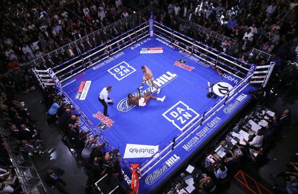 Boxing Ring Rental