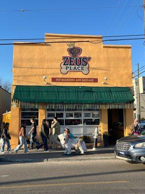 Zeus' Place
