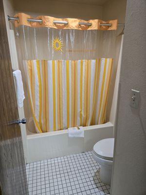 Smallish bathroom, but it gets the job done.