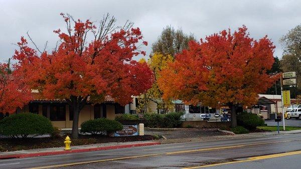 Atascadero Mutual Water