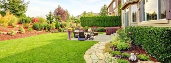 Top Cut Lawn Services