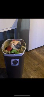 Austin Drain Cleaning