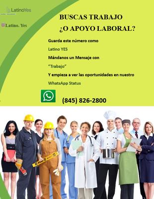 Latino Yes