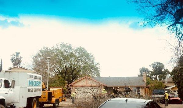 Love getting pictures from customers who spot the Higby truck. Send yours to team@higbytrees.com!