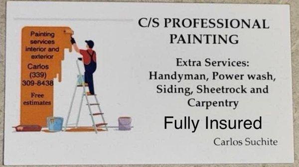 Cs Professional Painting Services