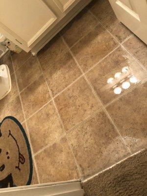 water leaked out of my light onto my floor and flooded the floor. this was ignored for an entire day.