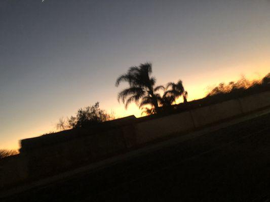 Mimis Transportation