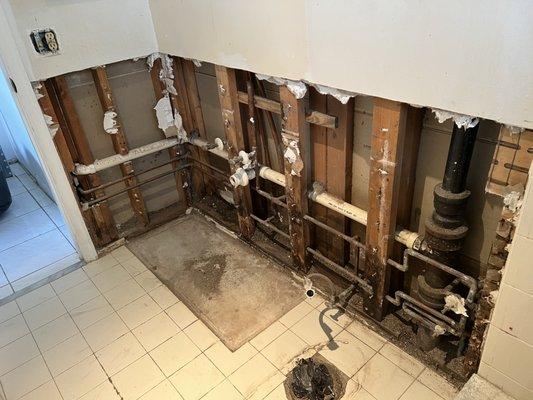 Knockdown Pest Solutions