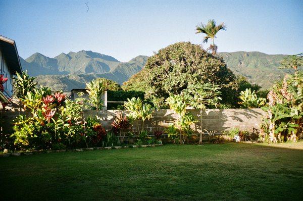 Grass Hapa Landscaping