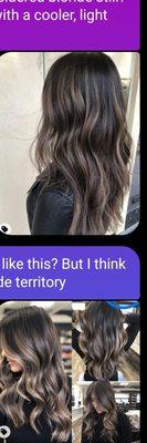 The picture I showed my stylist of the color I was aiming for