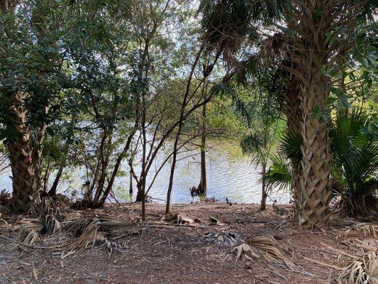 Walking Path At Southern Region Water Reclamation Facility
