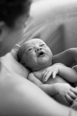 Blue Dream Birth Services