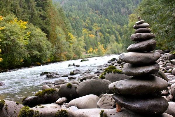 Vital Flow Cleansing & Neurofeedback