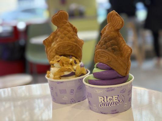 Signatures with cones