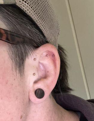 Piercings by Jessica Rae