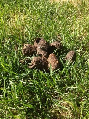 Help u Sell property management. Photo About sums it up