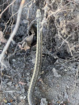 Crystal Grove Campsite