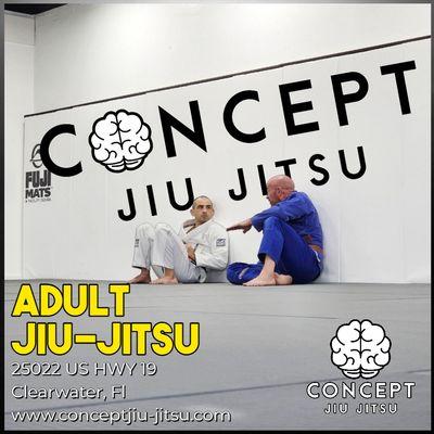 Adult Jiu-Jitsu Any level