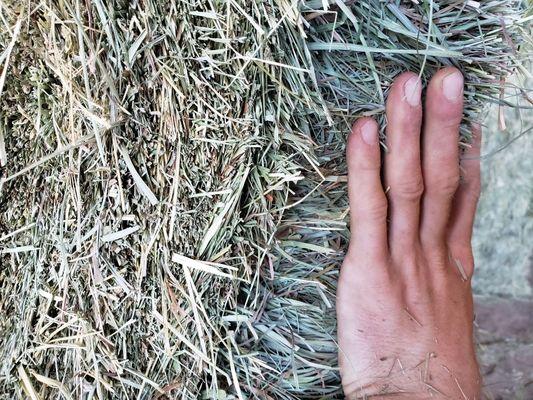 Green Acres Hay Company