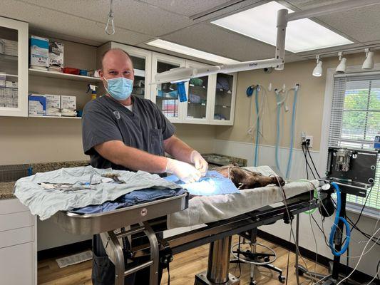 Cincinnati Veterinary Surgical & Wellness Center