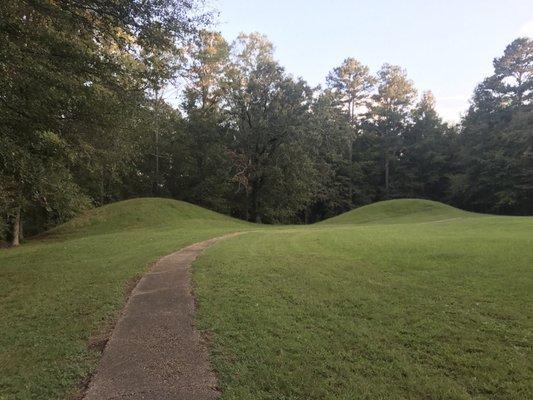 Bynum Mounds