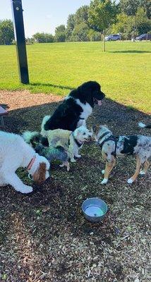 James O Breen Community Park