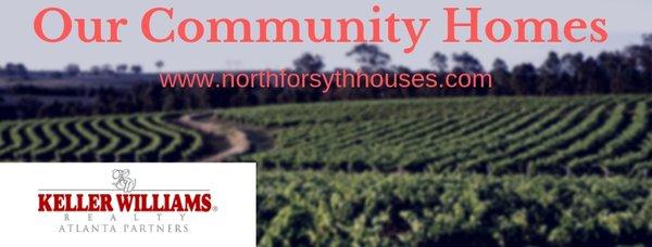 www.northforsythhouses.com