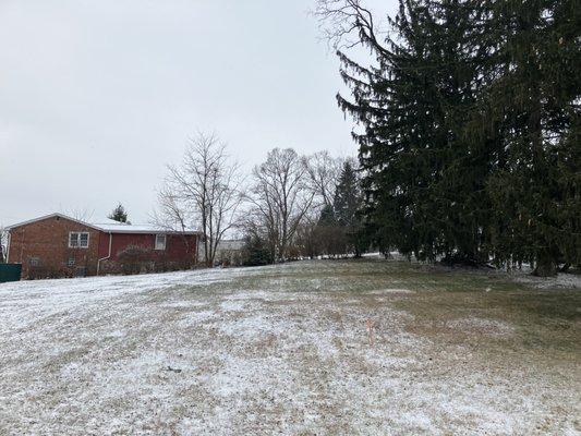 Jungle Jims Tree Service