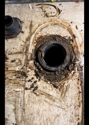 GD Handyman Services