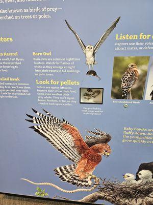 Lindsay Wildlife Experience