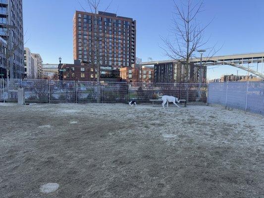 Dog park