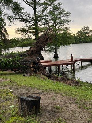 Chowi's Tree Service