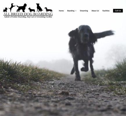 Dog Boarding Website