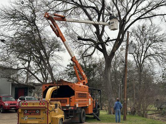 Martone Tree Service