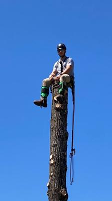 Ultimate Tree and Landscape