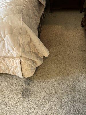 Coquina the Condominium