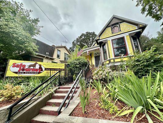 Safe Journey Dog Boarding