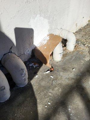 Garden Park Apartments