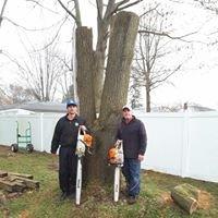 Arborist Care Tree Service
