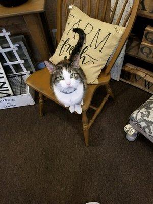 The Red Brick Cottage