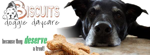 Biscuits Doggie Daycare