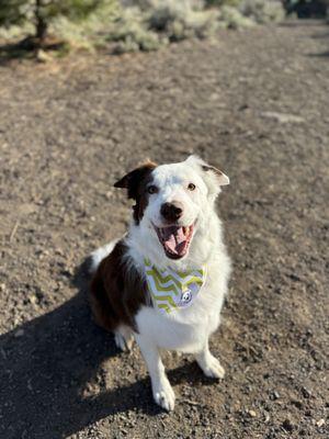 Sunriver Pet Boutique and Spa