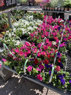 Singleton Landscaping and Tree