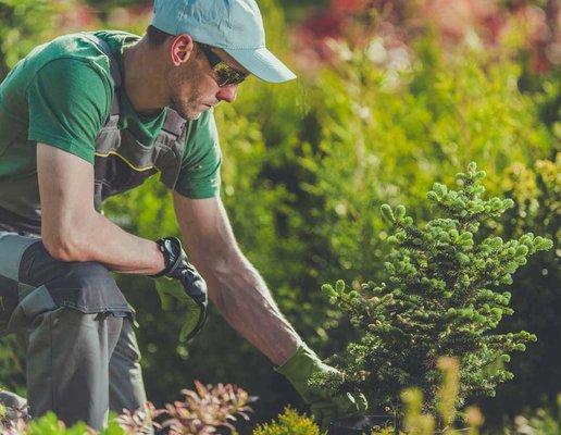 Highlands Ranch Landscaping Pros