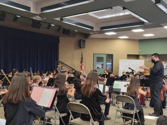 Spring concert - strings group.