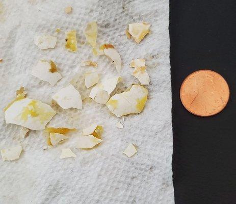 You didn't ask for eggshells in your burrrito? 