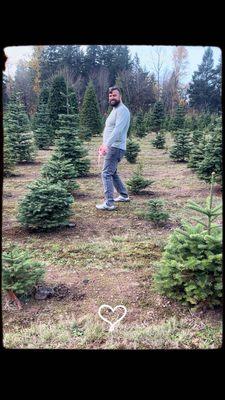 Double Four Tree Farm